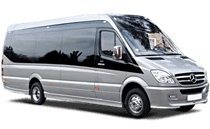 Airport to Paguera Minibus